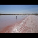 Ein durch die Grünalge Dunaliella Salina rot gefärbter Salzsee